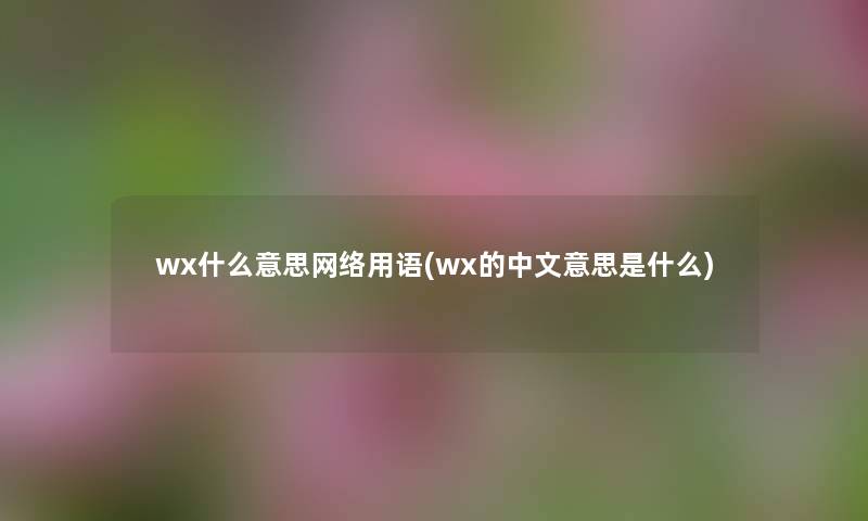 wx什么意思网络用语(wx的中文意思是什么) wx什么意思网络用语(wx的中文意思是什么)