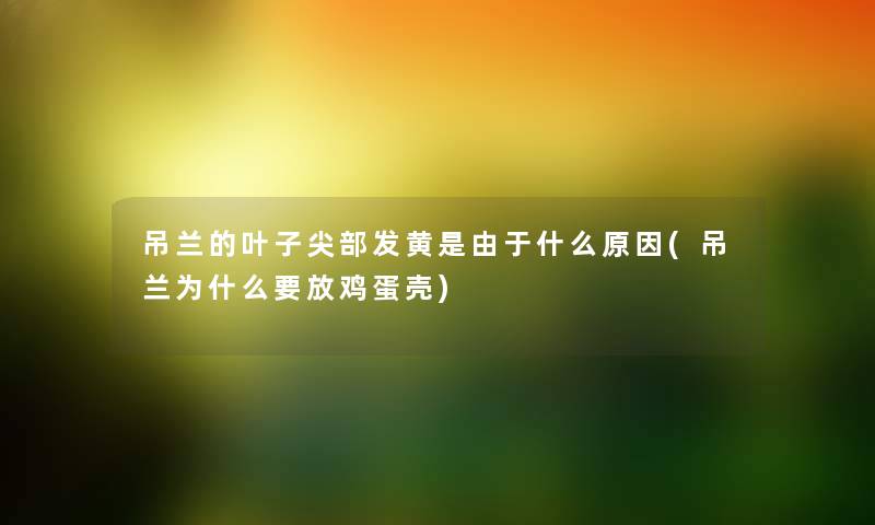 吊兰的叶子尖部发黄是由于什么原因(吊兰为什么要放鸡蛋壳) 吊兰的叶子尖部发黄是由于什么原因(吊兰为什么要放鸡蛋壳)