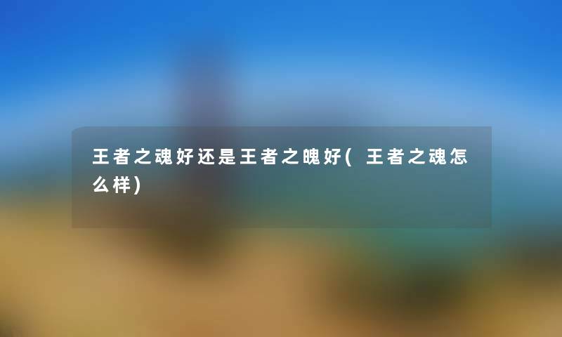 王者之魂好还是王者之魄好(王者之魂怎么样)