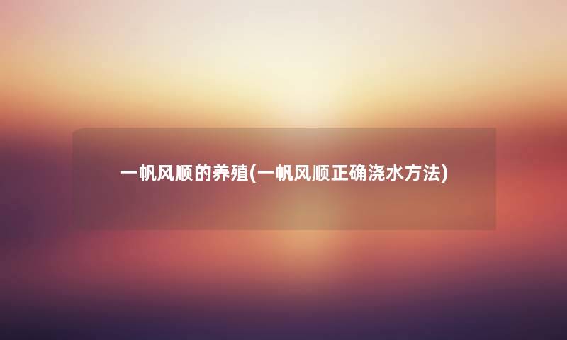 一帆风顺的养殖(一帆风顺正确浇水方法) 一帆风顺的养殖(一帆风顺正确浇水方法)