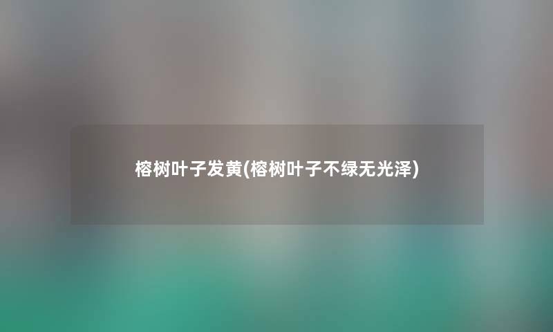 榕树叶子发黄(榕树叶子不绿无光泽) 榕树叶子发黄(榕树叶子不绿无光泽)