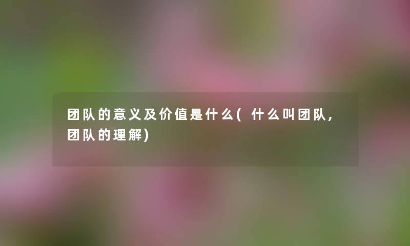 团队的意义及价值是什么(什么叫团队,团队的理解)
