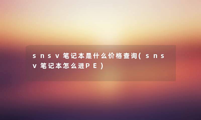 snsv笔记本是什么价格查阅(snsv笔记本怎么进PE) snsv笔记本是什么价格查阅(snsv笔记本怎么进PE)