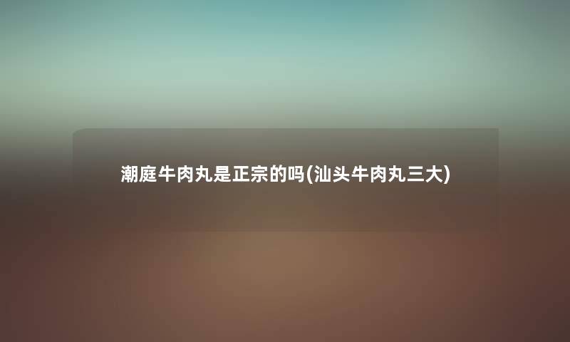 潮庭牛肉丸是正宗的吗(汕头牛肉丸三大) 潮庭牛肉丸是正宗的吗(汕头牛肉丸三大)