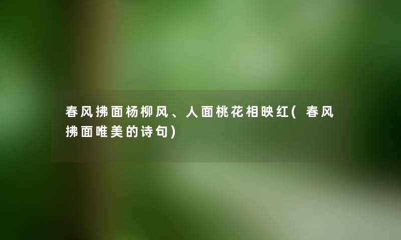 春风拂面杨柳风、人面桃花相映红(春风拂面唯美的诗句) 春风拂面杨柳风、人面桃花相映红(春风拂面唯美的诗句)