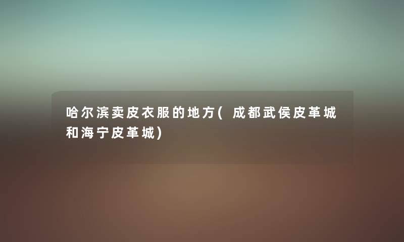 哈尔滨卖皮衣服的地方(成都武侯皮革城和海宁皮革城) 哈尔滨卖皮衣服的地方(成都武侯皮革城和海宁皮革城)