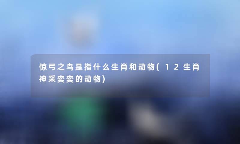 惊弓之鸟是指什么生肖和动物(12生肖神采奕奕的动物)