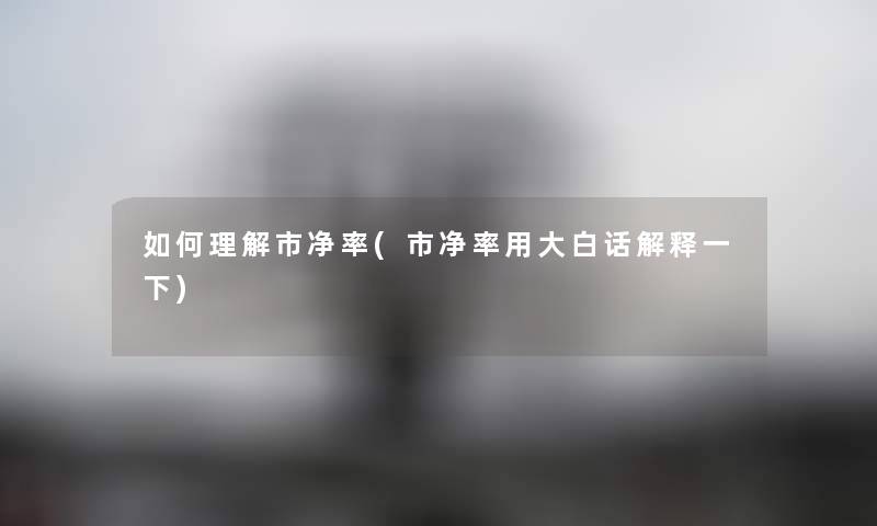 如何理解市净率(市净率用大白话解释一下) 如何理解市净率(市净率用大白话解释一下)