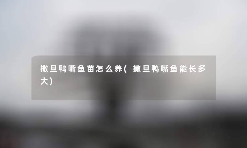 撒旦鸭嘴鱼苗怎么养(撒旦鸭嘴鱼能长多大) 撒旦鸭嘴鱼苗怎么养(撒旦鸭嘴鱼能长多大)