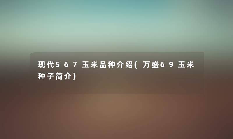 现代567玉米品种介绍(万盛69玉米种子简介) 现代567玉米品种介绍(万盛69玉米种子简介)