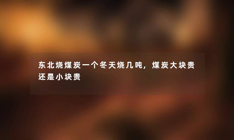 东北烧煤炭一个冬天烧几吨,煤炭大块贵还是小块贵 东北烧煤炭一个冬天烧几吨,煤炭大块贵还是小块贵