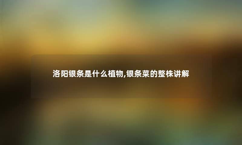 洛阳银条是什么植物,银条菜的整株讲解 洛阳银条是什么植物,银条菜的整株讲解