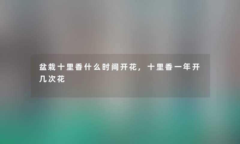 盆栽十里香什么时间开花,十里香一年开几次花 盆栽十里香什么时间开花,十里香一年开几次花