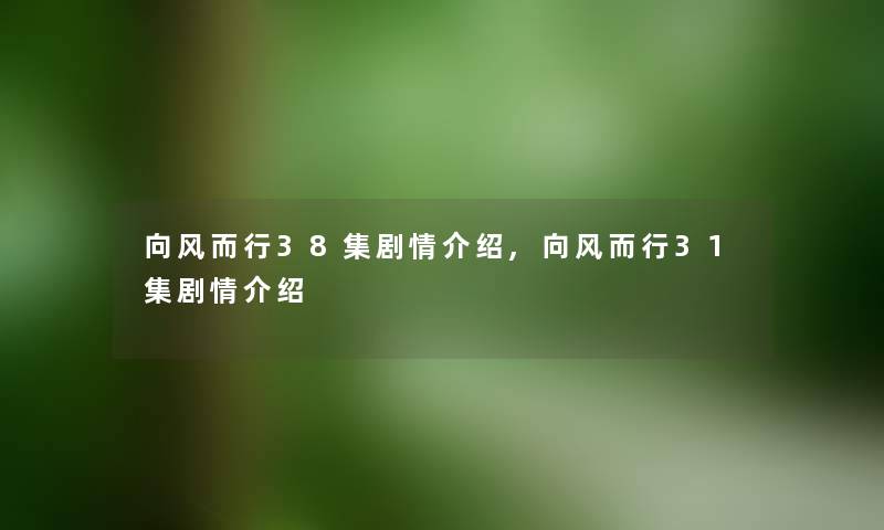 向风而行38集剧情介绍,向风而行31集剧情介绍 向风而行38集剧情介绍,向风而行31集剧情介绍