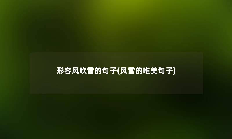 形容风吹雪的句子(风雪的唯美句子) 形容风吹雪的句子(风雪的唯美句子)