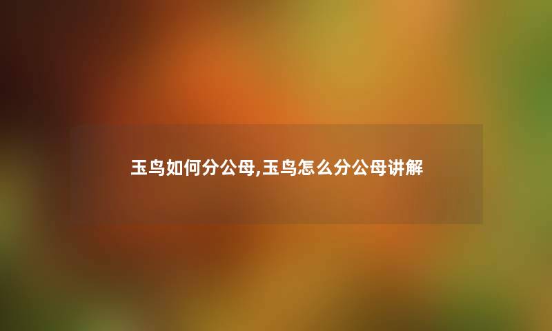 玉鸟如何分公母,玉鸟怎么分公母讲解 玉鸟如何分公母,玉鸟怎么分公母讲解
