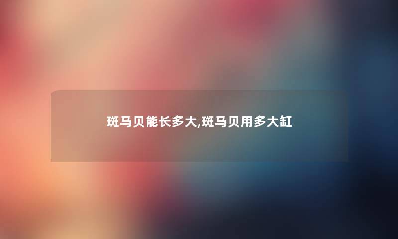斑马贝能长多大,斑马贝用多大缸 斑马贝能长多大,斑马贝用多大缸