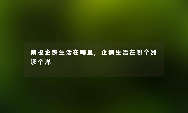 南极企鹅生活在哪里,企鹅生活在哪个洲哪个洋 南极企鹅生活在哪里,企鹅生活在哪个洲哪个洋