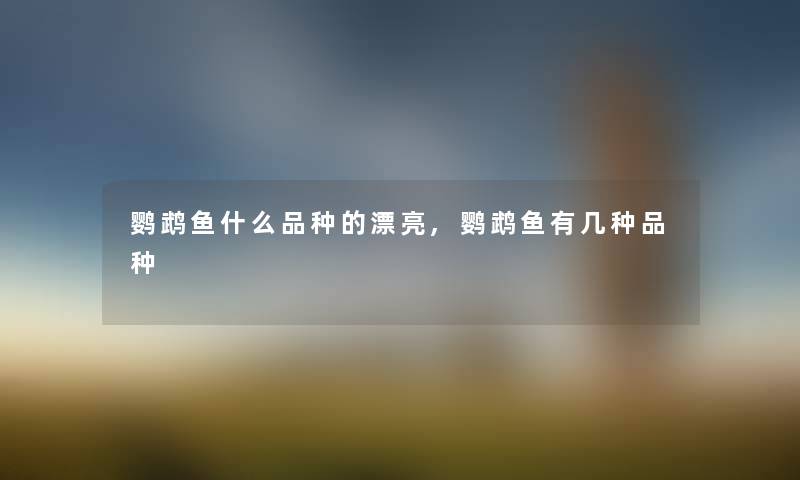 鹦鹉鱼什么品种的漂亮,鹦鹉鱼有几种品种 鹦鹉鱼什么品种的漂亮,鹦鹉鱼有几种品种