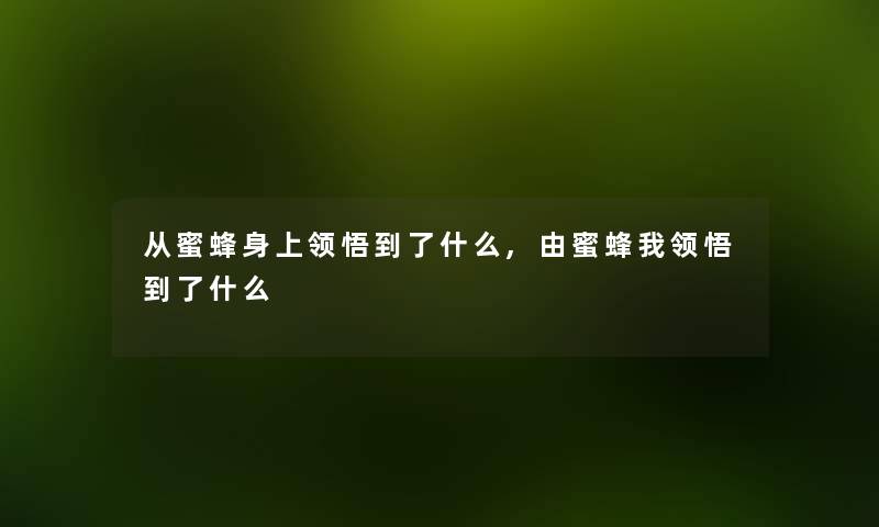 从蜜蜂身上领悟到了什么,由蜜蜂我领悟到了什么
