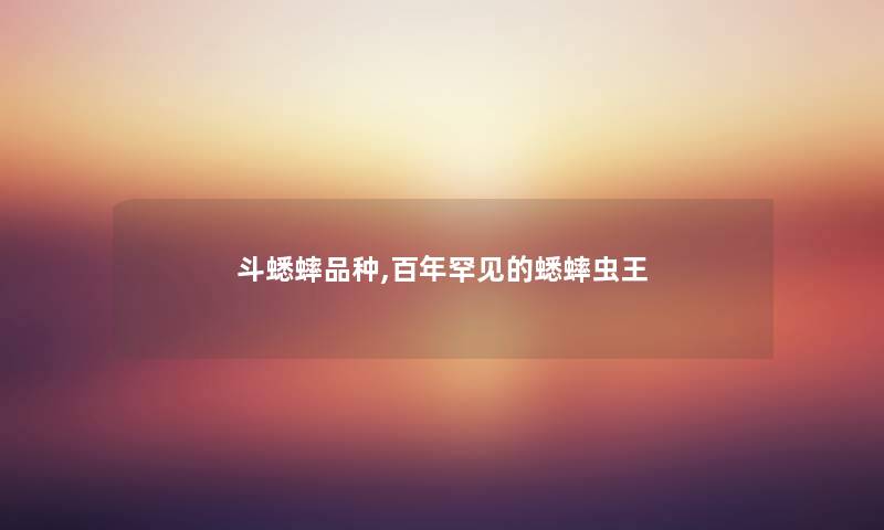 斗蟋蟀品种,百年罕见的蟋蟀虫王 斗蟋蟀品种,百年罕见的蟋蟀虫王