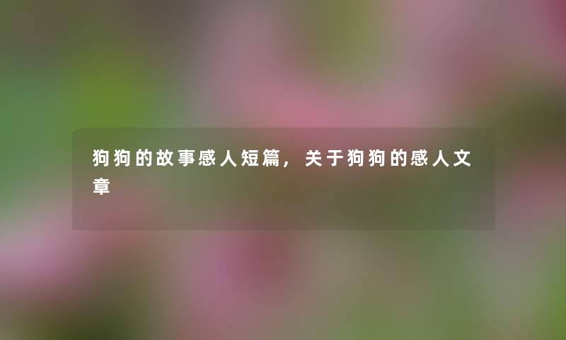 狗狗的故事感人短篇,关于狗狗的感人文章 狗狗的故事感人短篇,关于狗狗的感人文章
