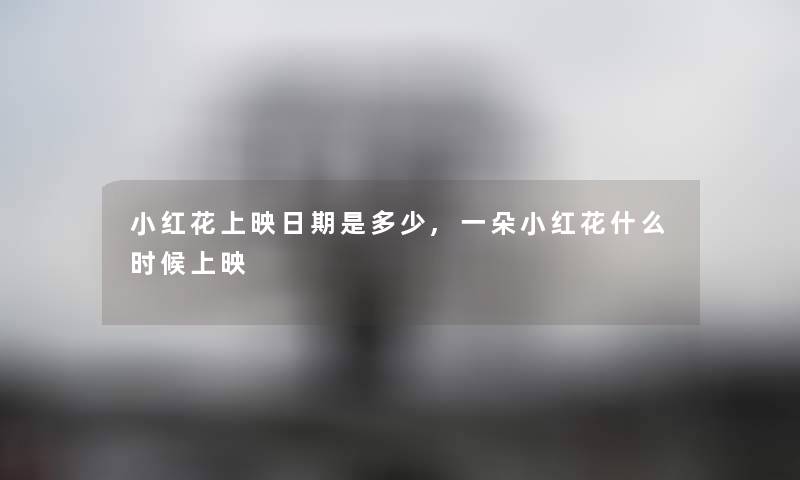 小红花上映日期是多少,一朵小红花什么时候上映
