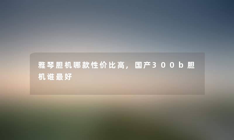 雅琴胆机哪款性价比高,国产300b胆机谁好
