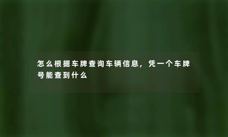 怎么根据车牌查阅车辆信息,凭一个车牌号能查到什么 怎么根据车牌查阅车辆信息,凭一个车牌号能查到什么