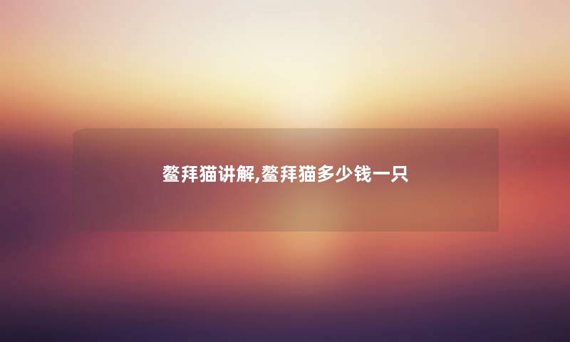 鳌拜猫讲解,鳌拜猫多少钱一只 鳌拜猫讲解,鳌拜猫多少钱一只